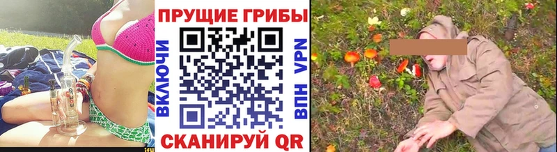 Галлюциногенные грибы Psilocybe  МЕГА ТОР  Сычёвка 